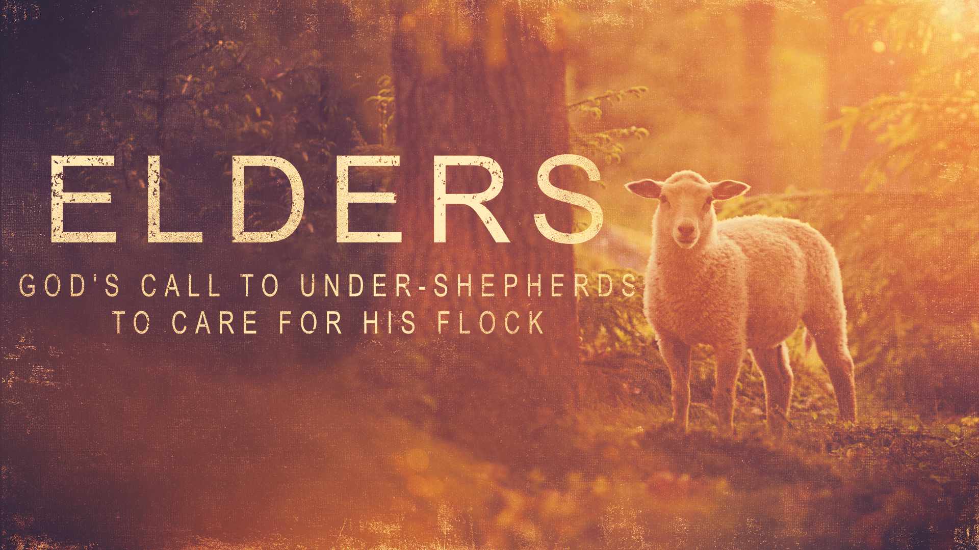 elders-god-s-call-to-under-shepherds-to-care-for-his-flock-bethany